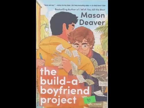 THE BUILD A BOYFRIEND PROJECT