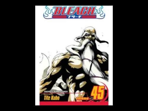 Bleach Volume 45 by Tite Kubo
