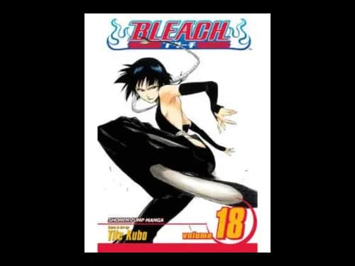 Bleach Volume 18 by Tite Kubo