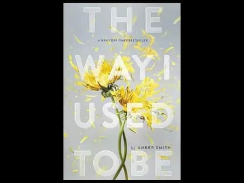 Way I Used To Be by Amber Smith