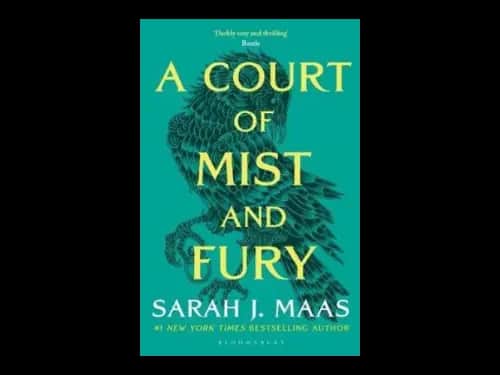 A Court of Mist and Fury by Sarah J Maas