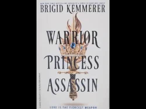 WARRIOR PRINCESS ASSASSIN