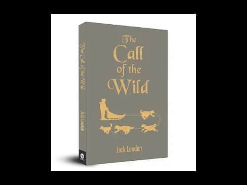 Pocket Classics : The Call of The Wild by Jack London