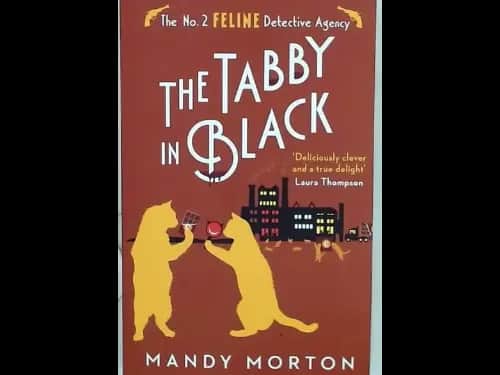 THE TABBY IN BLACK