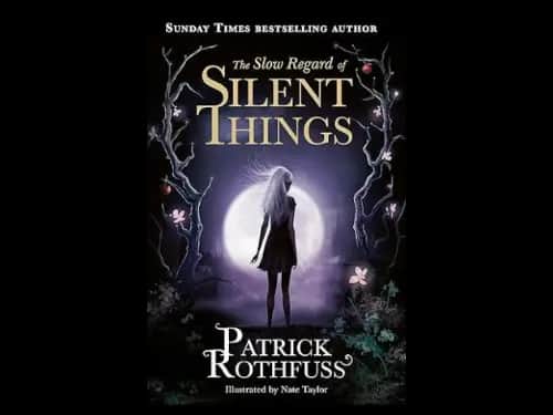 The Slow Regard Of Silent Things by Patrick Rothfuss