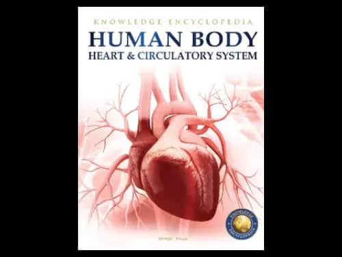 KNOWLEDGE ENCYCLOPEDIA HUMAN BODY - HEART AND CIRCULATORY SYSTEM
