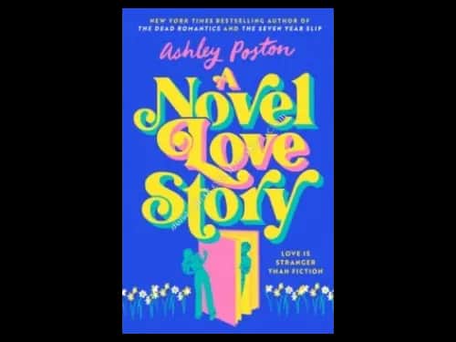 NOVEL LOVE STORY