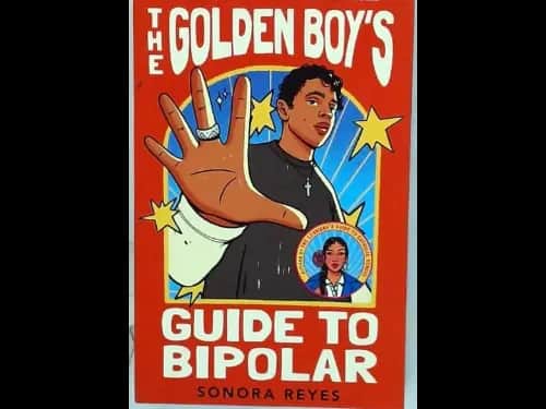 THE GOLDEN BOYS GUIDE TO BIPOLAR