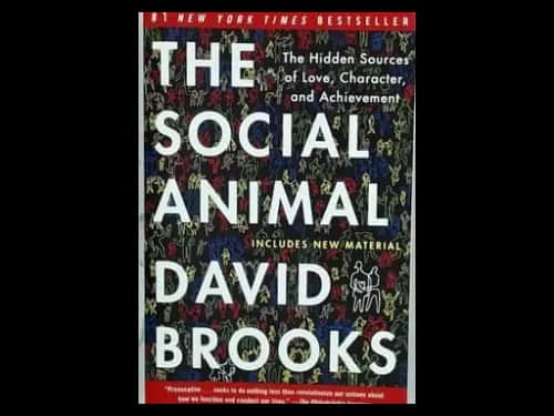 THE SOCIAL ANIMAL