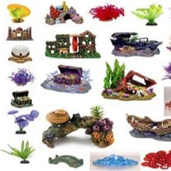 Fish & Aquatic