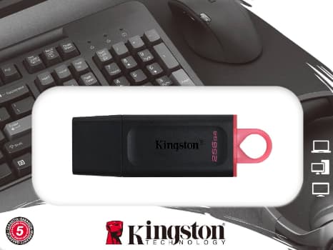 Pen Drive Kingston 256gb Dtx Usb 3.2 (2)