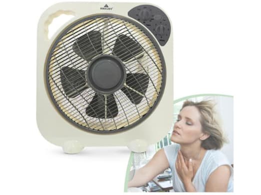 Bright Box Fan BR30-15B with warranty 12 inches (2)