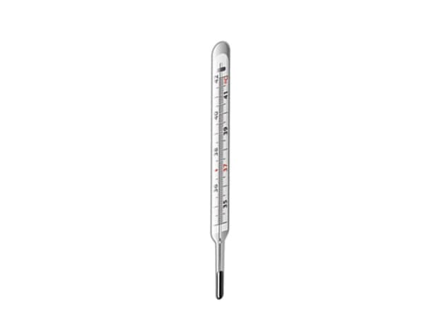 THERMOMETER FLAT LARGE (2)