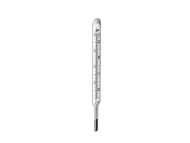THERMOMETER FLAT LARGE