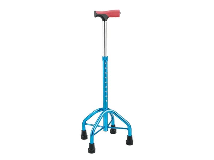 Quad cane