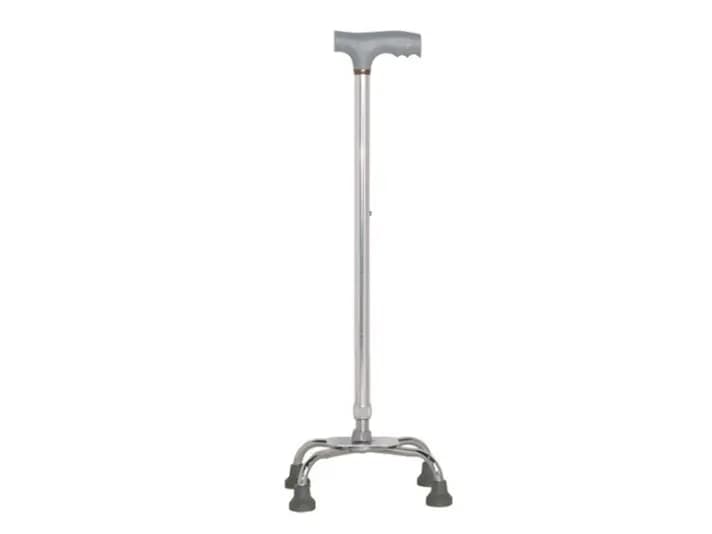 Quad cane