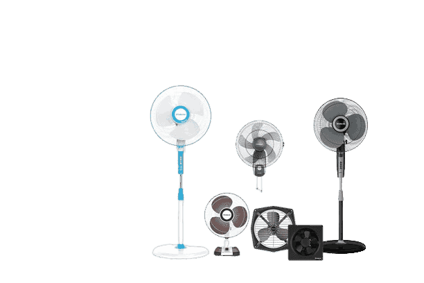 Fan