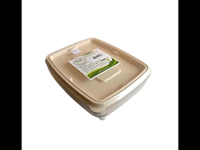 Eco Pack Container,1lt - 5.00 pc