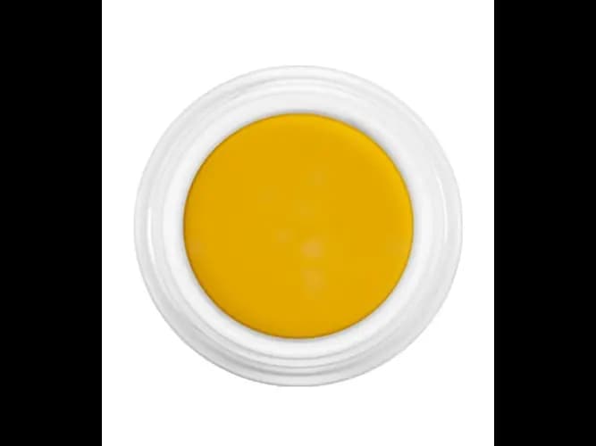 DERMA COLOR D509 4ML