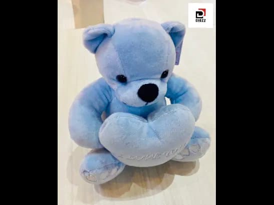Heart Bear Soft Teddy Bear (4)