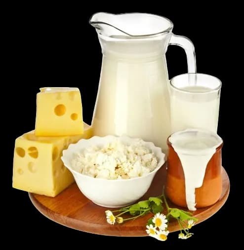 Dairy