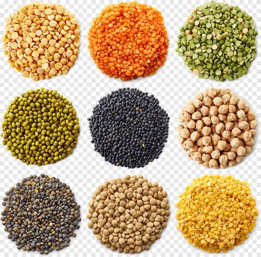 Dry Rations