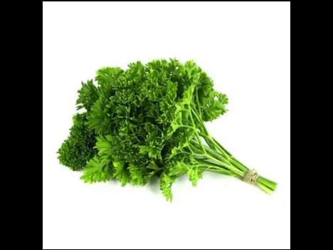 Parsley