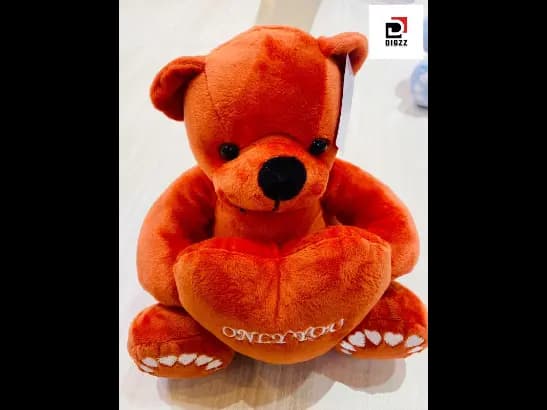 Heart Bear Soft Teddy Bear (2)