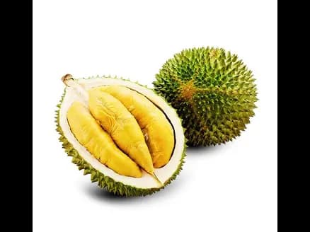 Durian - Pre-order
