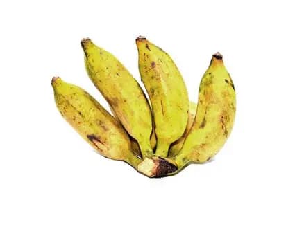 Sugar Plantain