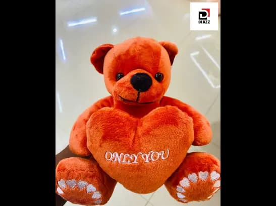 Heart Bear Soft Teddy Bear