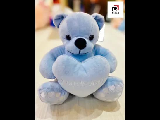 Heart Bear Soft Teddy Bear (3)