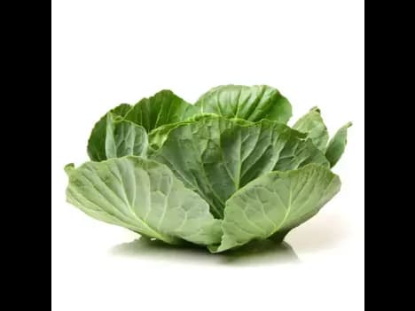 Cabbage Leaves