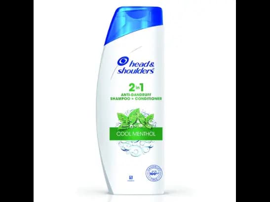 Head & Shoulders 2 In 1 Anti Dandruff Shampoo 340ml