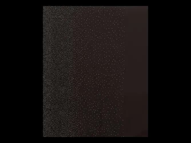 Black Embellished Beads and Stones Satin Saree (6)