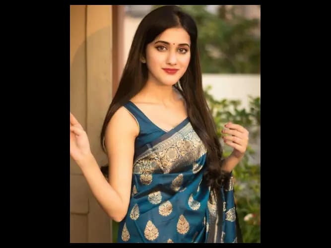 Woven Design Zari Pure Silk Banarasi Saree (2)
