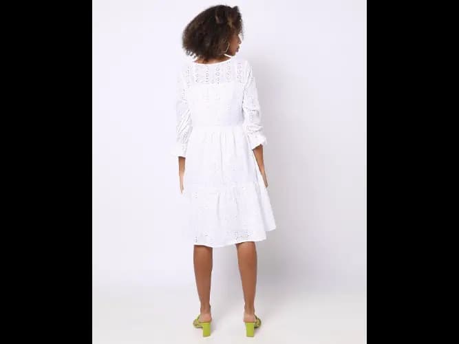 Schiffli Embroidered Fit & Flare Dress with Camisole (2)