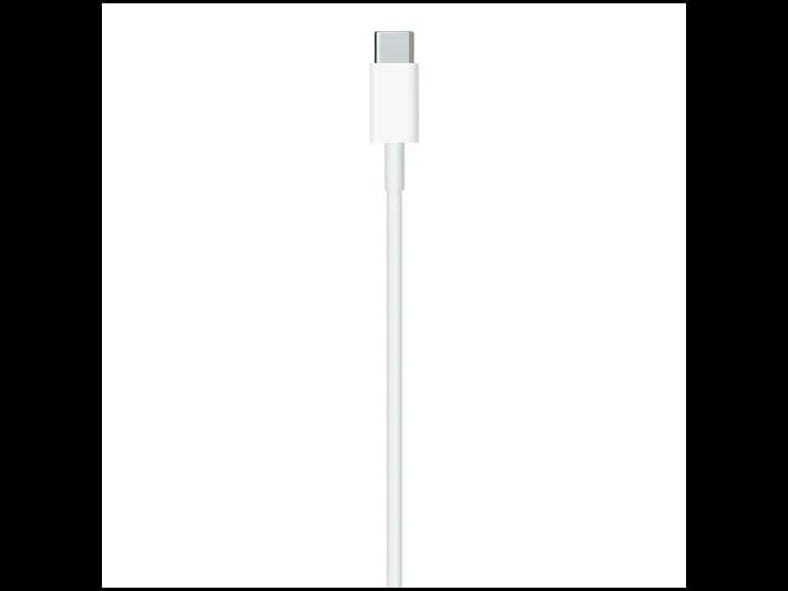 Apple Type-C to Lightning Cable (1 m) (4)