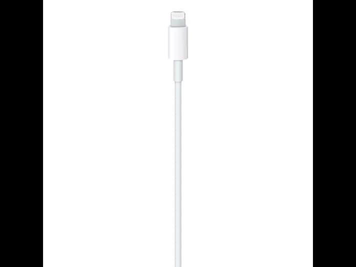 Apple Type-C to Lightning Cable (1 m) (3)