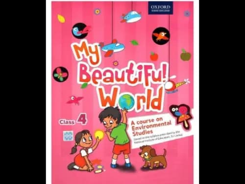My Beautiful World – Class 4