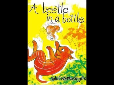 A Beetle In A Bottle