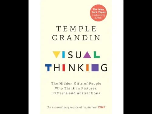 Visual Thinking (The Hidden Gifts Of People Who Think In Pictures, Patterns And Abstractions)