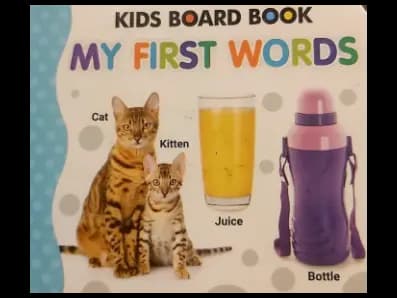 KIDS BOARD BOOK MY FIRST WORDS