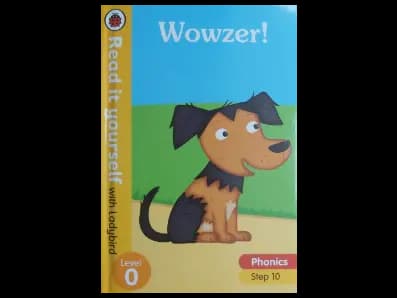 READ IT YOURSELF WITH LADYBIRD LEVEL 0 WOWZER ! PHONICS STEP 10