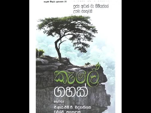කැලේ ගහක්