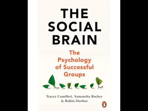 The Social Brain (The Psychology Of Successful Groups)
