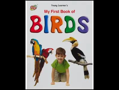 My First Book Of Birds