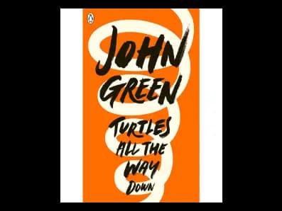 Turtles All The Way Down (Soft Cover)