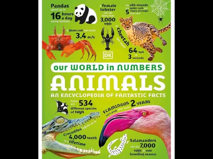 Our World In Numbers Animals An Encyclopedia Of Fantastic Facts (Dk)
