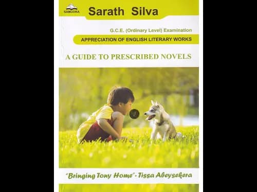 O Level A Guide To Prescribed Novels : Bringing Tony Home